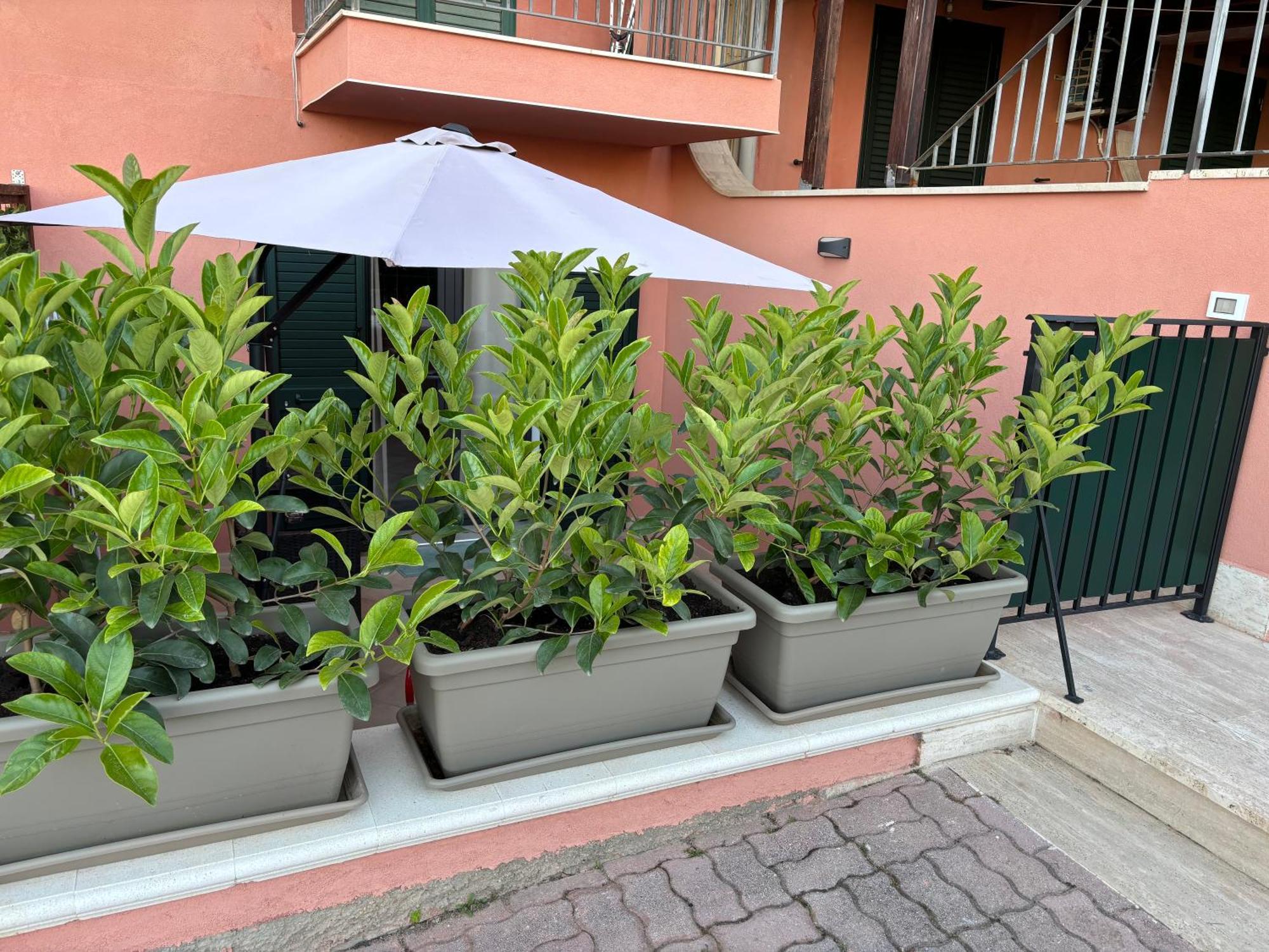 Casa Vacanza Scala Dei Turchi Realmonte Ngoại thất bức ảnh